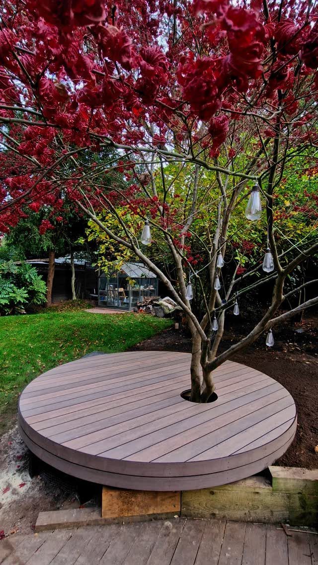 10 Around a Tree Ideas for Better Outdoor Spots 3 A circular wooden deck built around the base of a tree with vibrant red leaves.