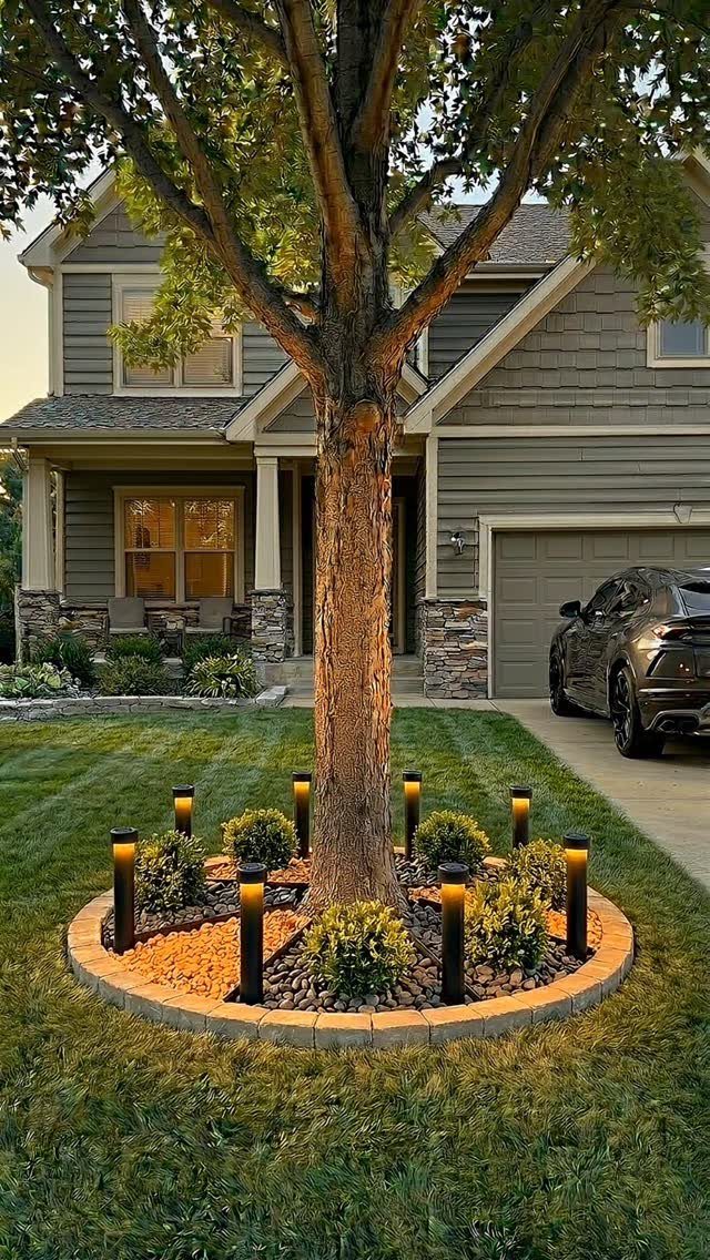 10 Around a Tree Ideas for Better Outdoor Spots 7 A large tree surrounded by a circular garden bed with illuminated solar lights and small shrubs.