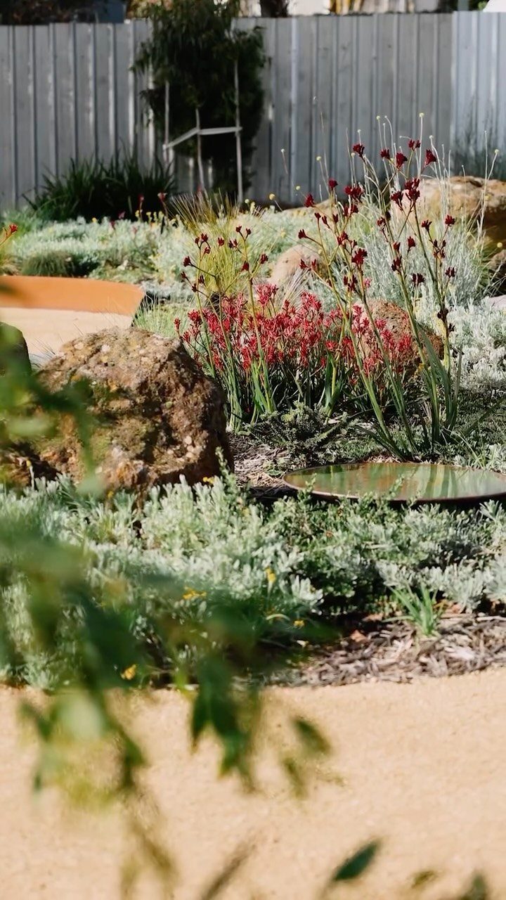18 Big Backyard Garden Ideas for Every Budget 1 Red flowering plants and silvery shrubs grow among large rocks in a landscaped garden.
