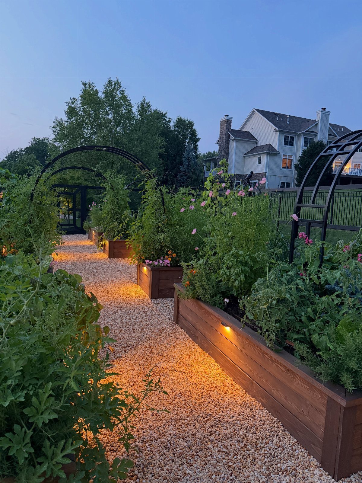 18 Big Backyard Garden Ideas for Every Budget 6 Raised wooden garden beds with green plants line a gravel path under black metal arches.
