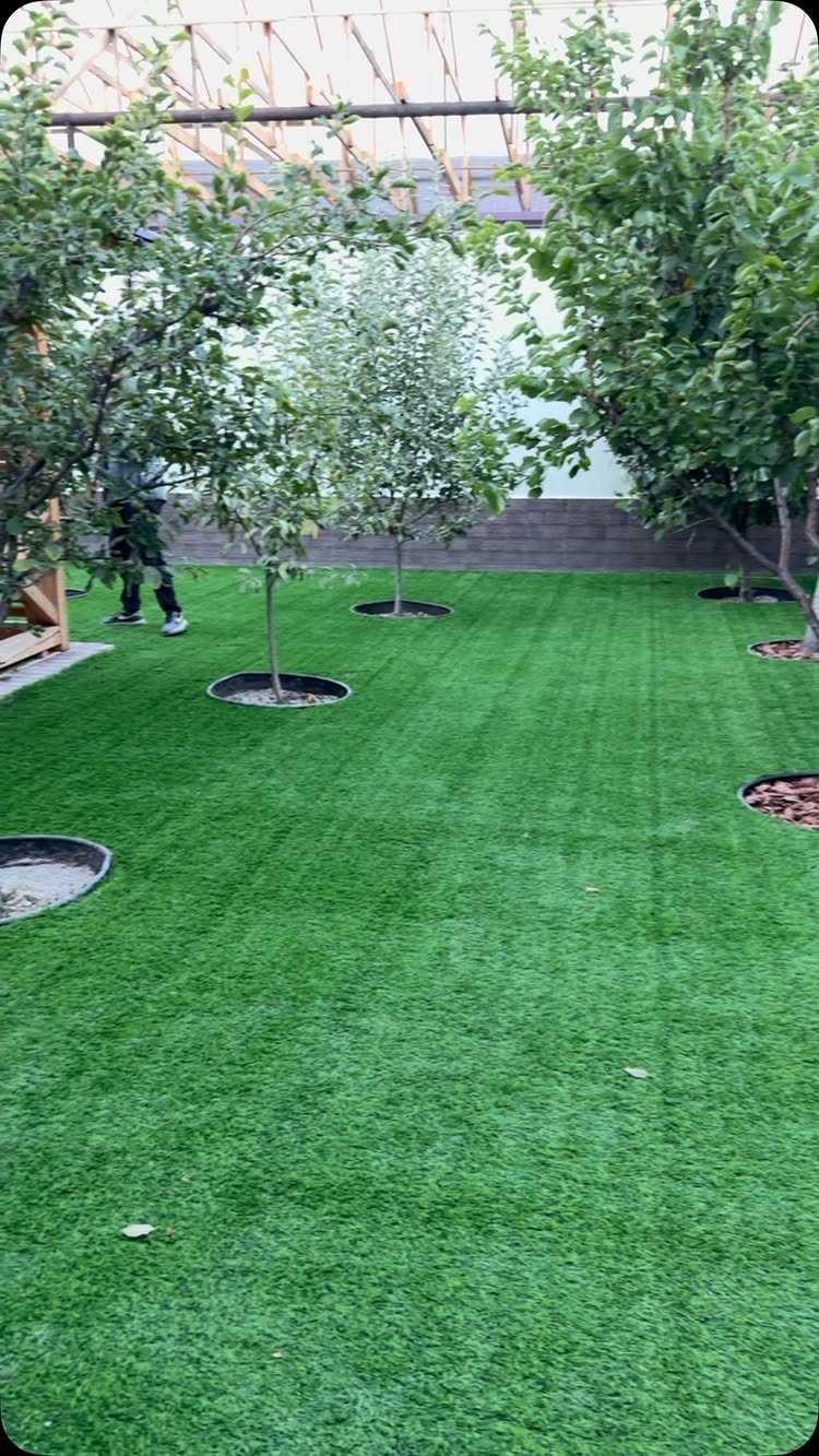 18 Big Backyard Garden Ideas for Every Budget 16 Artificial grass lawn with small trees planted in circular cutouts in a backyard setting.
