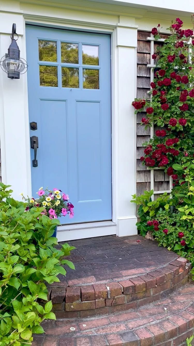 10 Cape Cod Front Yard Landscaping Ideas for Classic Charm 8 A light blue front door surrounded by red climbing roses and lush green garden plants.