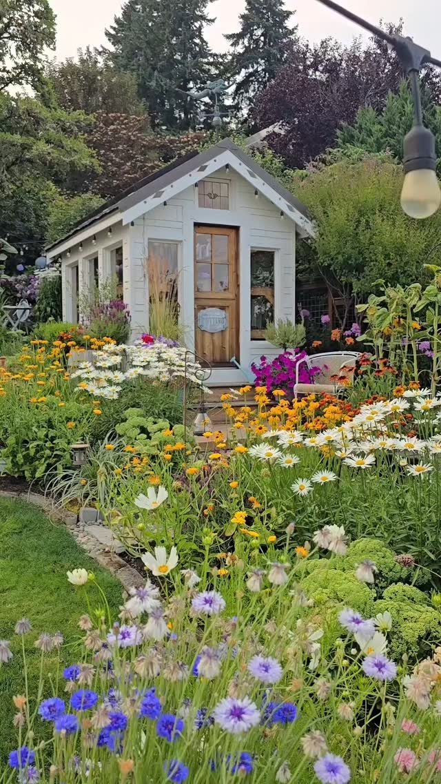 A white wooden cottage shed nestled within a vibrant, blooming flower garden.