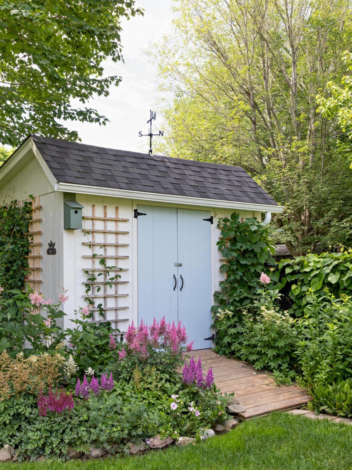 White cottage garden shed with light blue doors surrounded by blooming flowers and greenery.