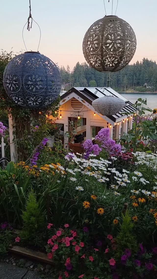 Colorful flowers bloom in a lush garden in front of a small white shed.