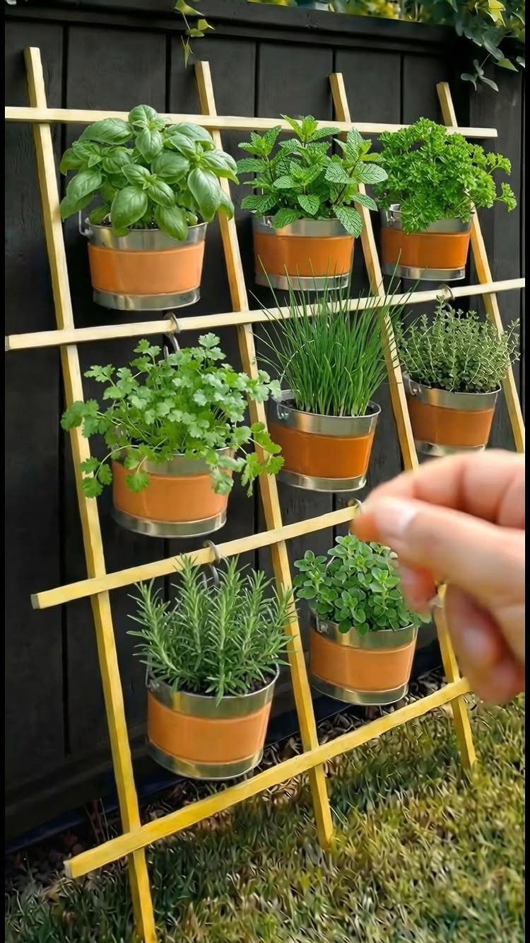 Tin can herb planters hanging on a yellow wooden trellis against a dark fence.