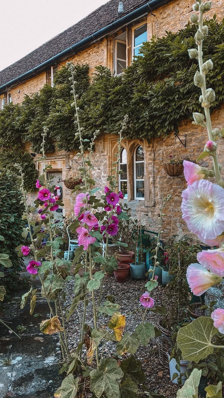 English Garden Front Yard: 11 Ideas for Curb Appeal 9 Pink hollyhock flowers blooming in front of a stone cottage with climbing green plants.