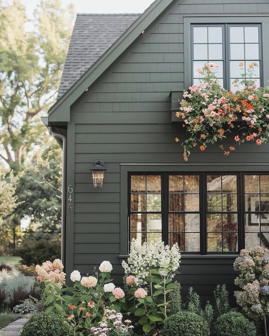 Sage green house exterior with black window frames and blooming white hydrangeas in the garden.