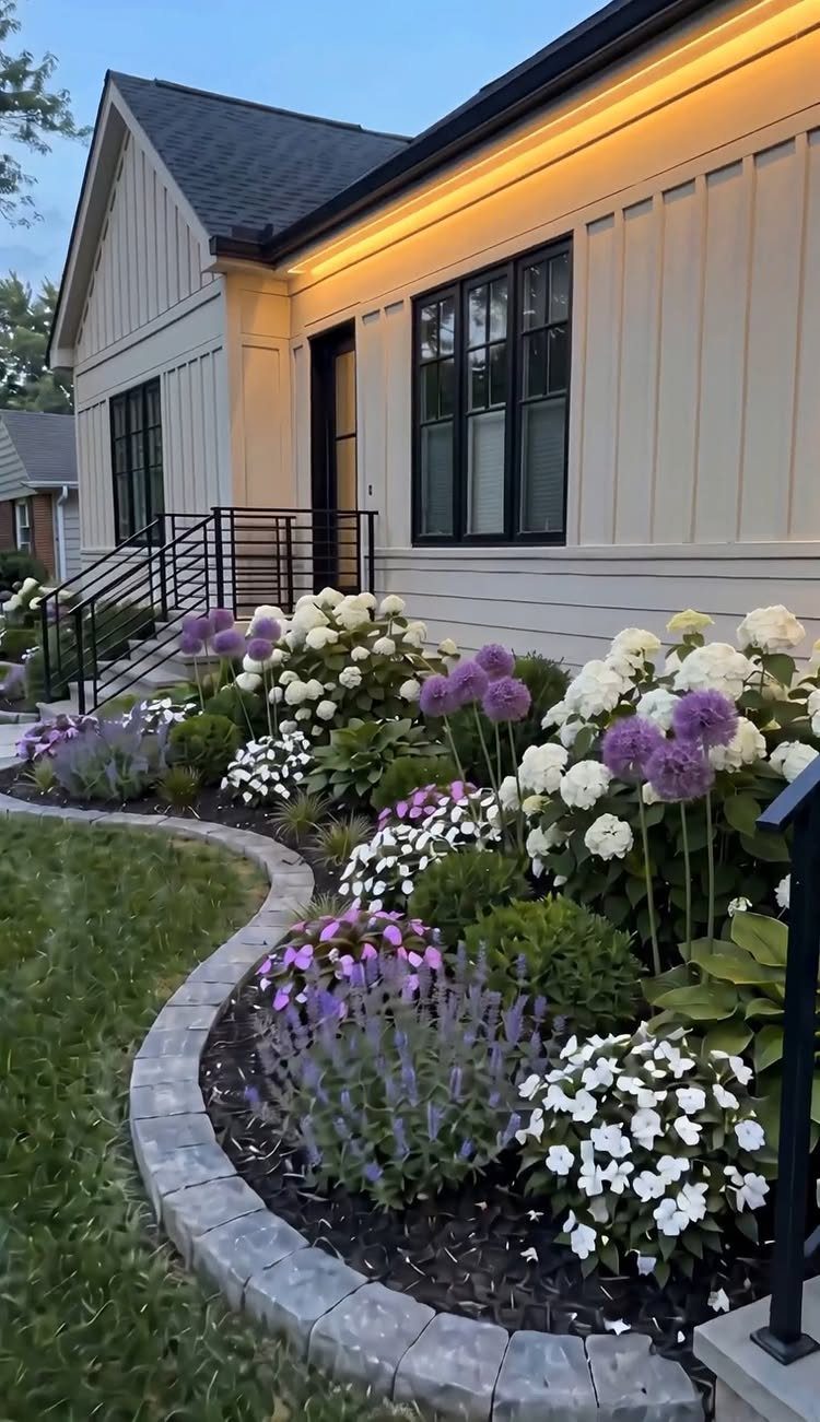 Colorful flower beds with white hydrangeas and purple alliums lining the front of a modern house.