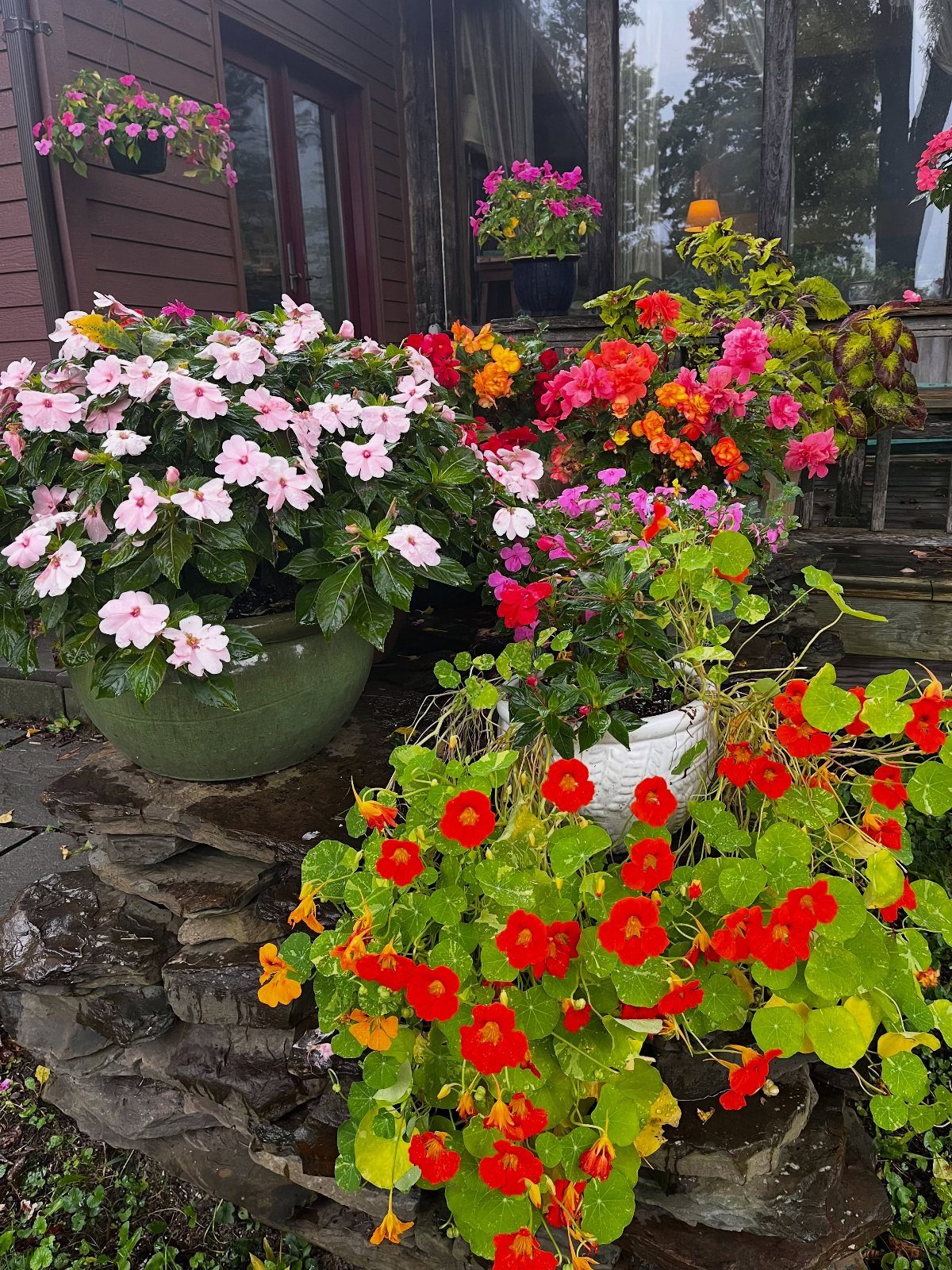 Colorful pink, orange, and red flowers in large pots arranged on a stone wall by a house.