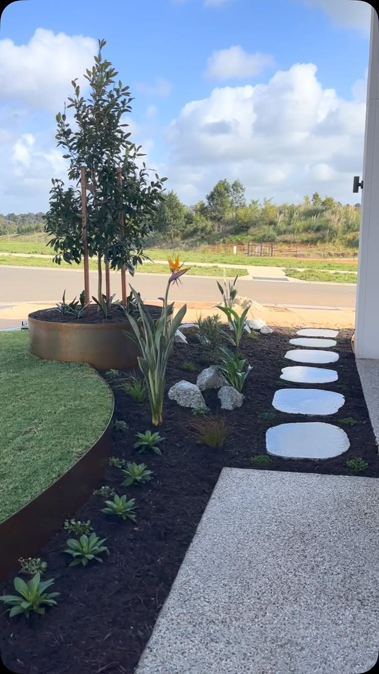 White circular stepping stones create a path through dark mulch in a landscaped front yard garden.