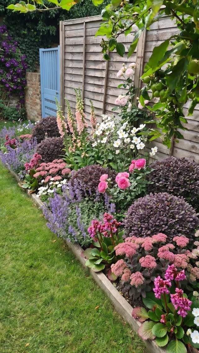 Garden Plans and Layouts: 7 Ideas for Small and Large Spaces 4 A colorful border garden with pink roses and purple lavender planted along a wooden fence.