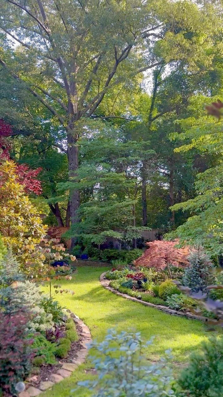 14 Garden Trees Ideas for Shade, Color and Privacy 13 Lush garden landscape with large canopy trees layered over smaller ornamental shrubs and plants.