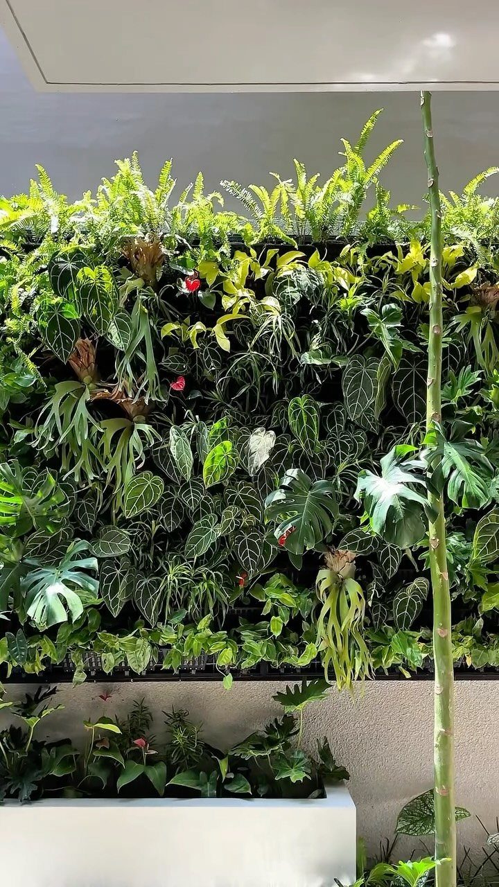 A dense vertical garden wall featuring various green tropical plants and ferns.
