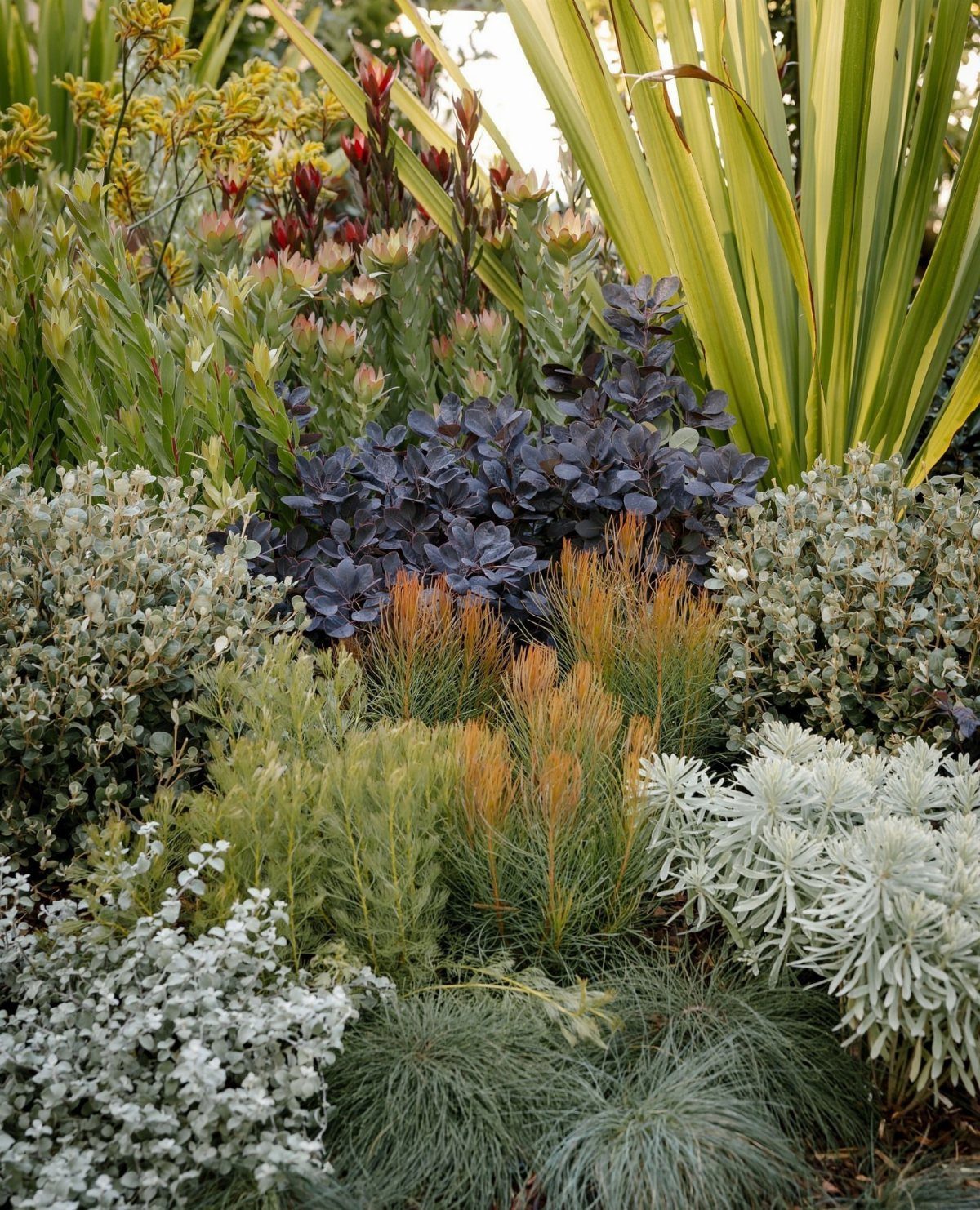 13 Landscaping Plans Layout Ideas to Draw From 10 Diverse garden plants with various textures, colors, and heights arranged in a dense landscape bed.