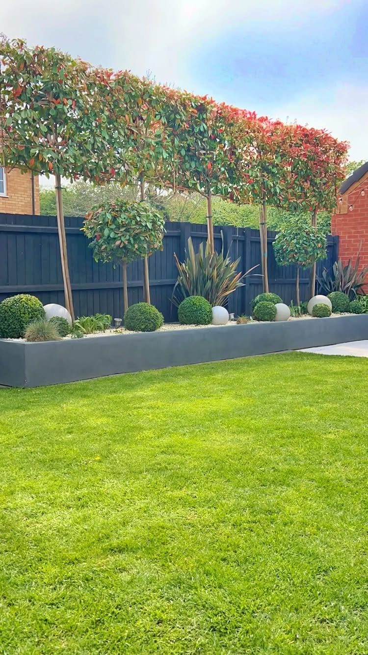 13 Landscaping Plans Layout Ideas to Draw From 5 Tall trees with red leaves planted in a grey raised bed along a dark fence.