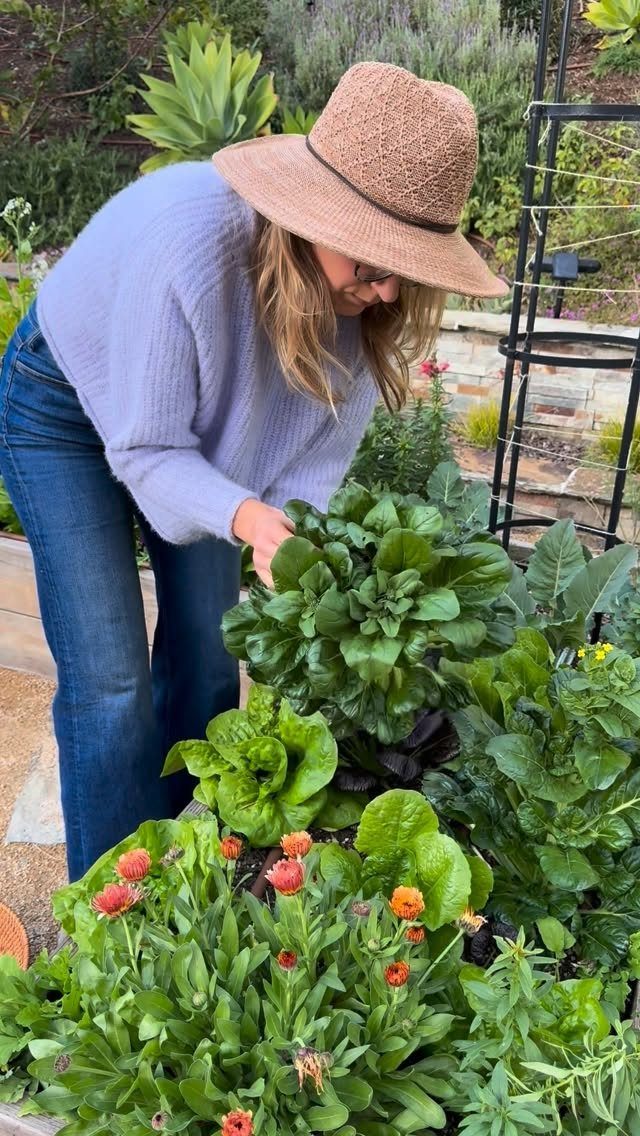 18 Large Yard Ideas for Patios, Pools, Outdoor Kitchens & More 8 A woman tending to a lush garden bed filled with large green leafy vegetables and flowers.