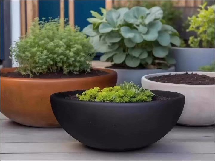 Low Planter Ideas: 8 Creative Designs for Small Spaces 3 Low bowl-shaped planters in black, terracotta, and white containing green succulents on a wooden deck.