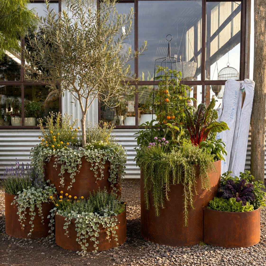 Low Planter Ideas: 8 Creative Designs for Small Spaces 6 Large rusted metal planters filled with colorful foliage and trailing green plants on gravel.