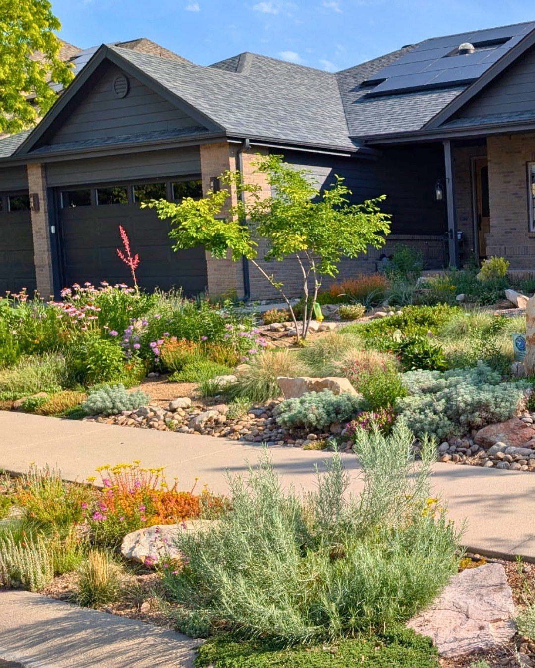 Modern Landscape Design: 12 Ideas for a Contemporary Yard 9 A lush garden with diverse shrubs, colorful flowers, and a small tree in front of a modern house.