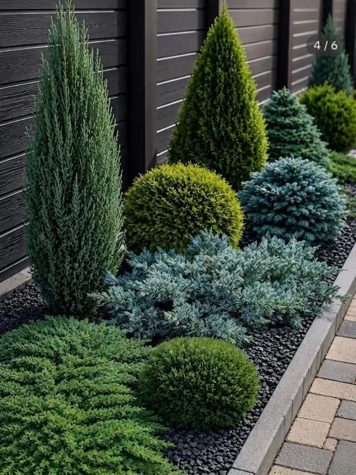 Modern Landscape Design: 12 Ideas for a Contemporary Yard 6 Various green and blue-grey evergreen shrubs and conifers planted in dark gravel against a black wall.