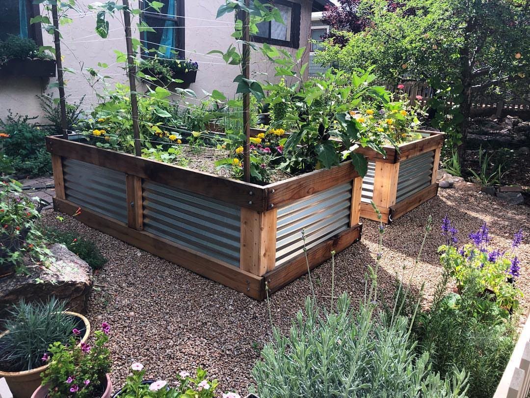 14 Raised Garden Bed Ideas for Every Yard and Budget 7 Two wooden raised garden beds with corrugated metal sides filled with lush green plants and flowers.