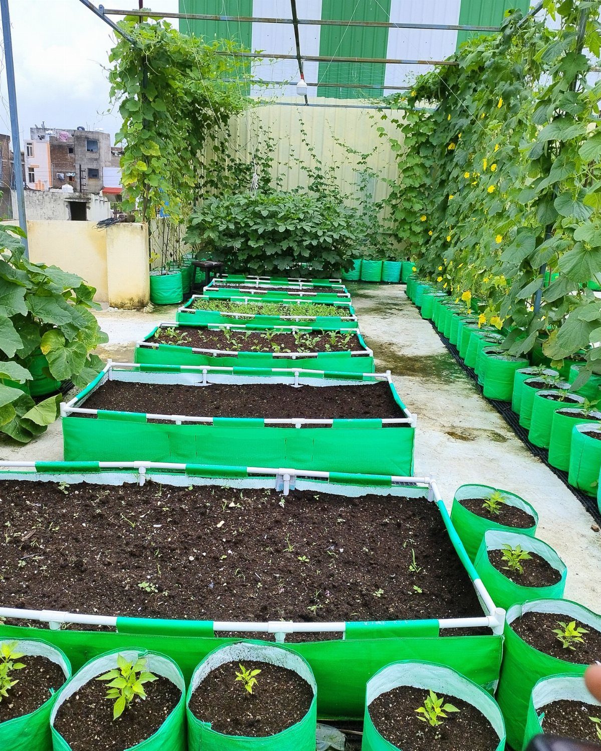 14 Raised Garden Bed Ideas for Every Yard and Budget 4 Green fabric garden beds and individual fabric pots filled with soil and young plants in an outdoor garden.