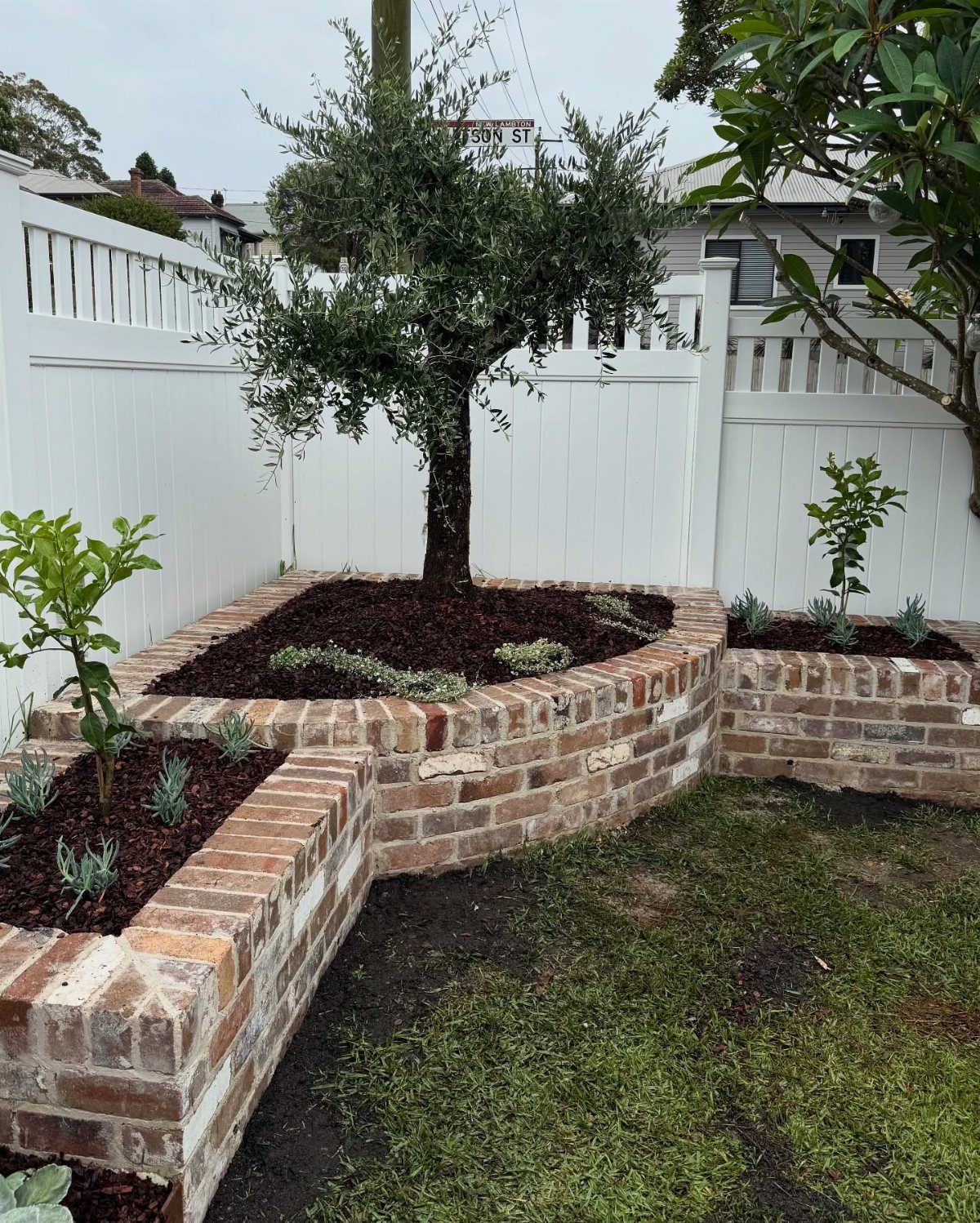 14 Raised Garden Bed Ideas for Every Yard and Budget 14 Red brick raised garden beds with an olive tree and small plants in a backyard.