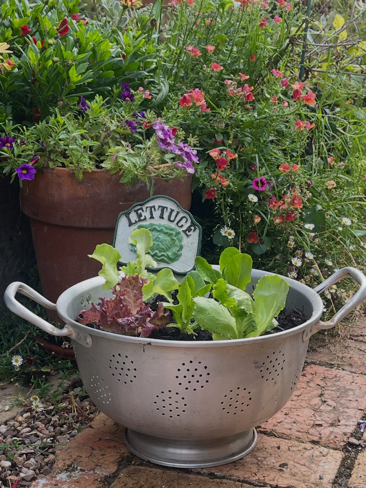 14 Raised Garden Bed Ideas for Every Yard and Budget 5 Green and red lettuce growing inside a large metal colander planter on a brick patio.