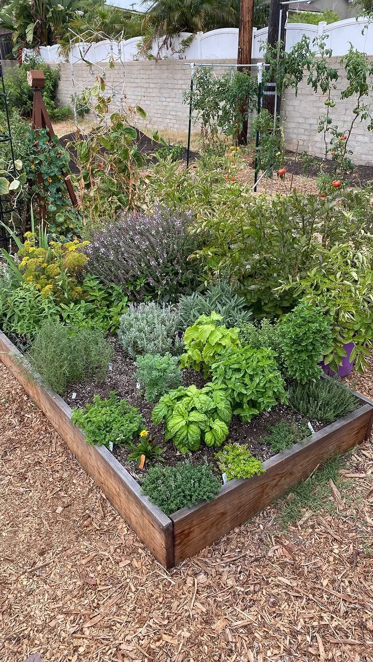 A wooden raised garden bed overflowing with lush green herbs and flowering plants.