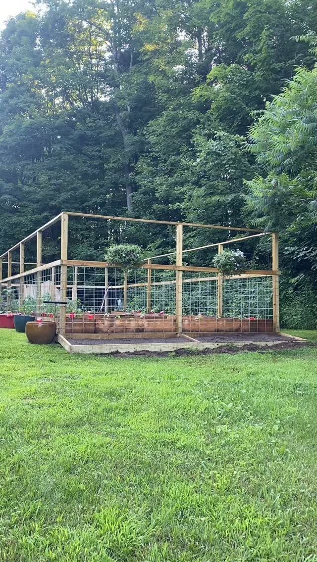A wooden raised garden bed enclosed by a tall wire mesh fence in a grassy yard.