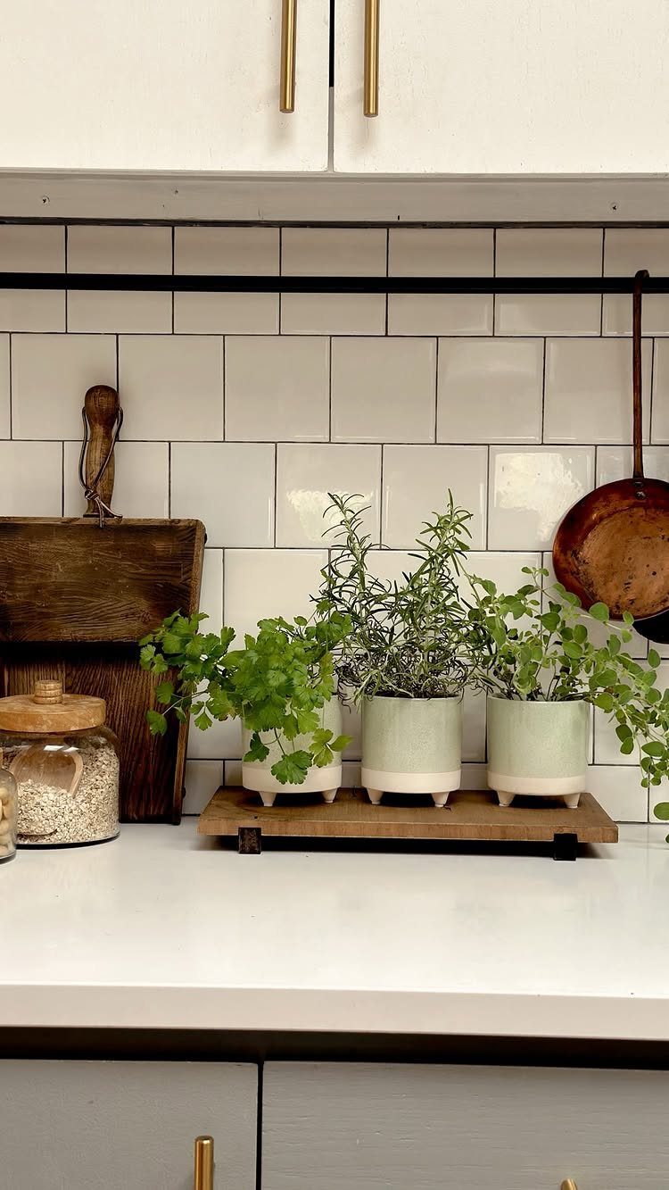 8 Small Kitchen Herb Garden Ideas for Counters, Windows & Walls 7 Three small potted herbs arranged on a wooden tray atop a white kitchen countertop.