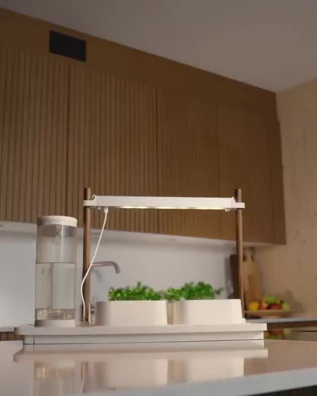 8 Small Kitchen Herb Garden Ideas for Counters, Windows & Walls 4 Green herbs growing in white circular planters under a modern LED grow light on a kitchen counter.