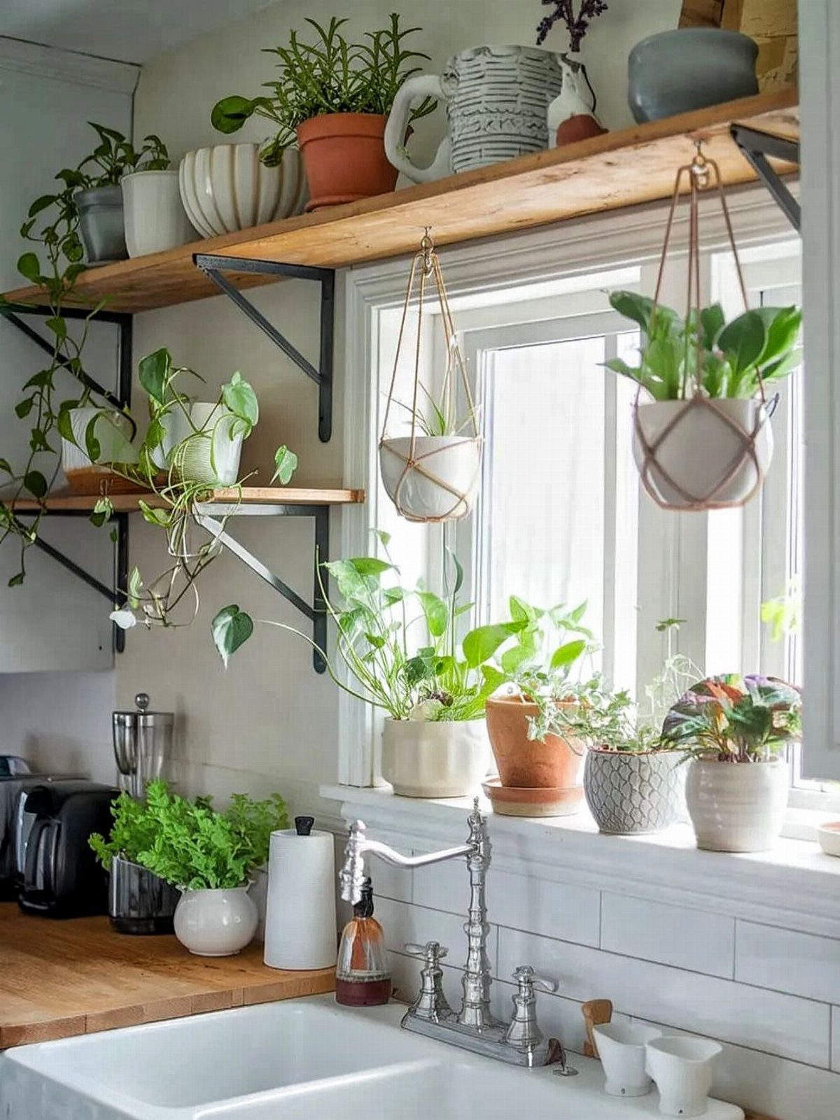 8 Small Kitchen Herb Garden Ideas for Counters, Windows & Walls 2 Green plants in ceramic pots on wooden shelves and hanging macrame planters by a kitchen window.