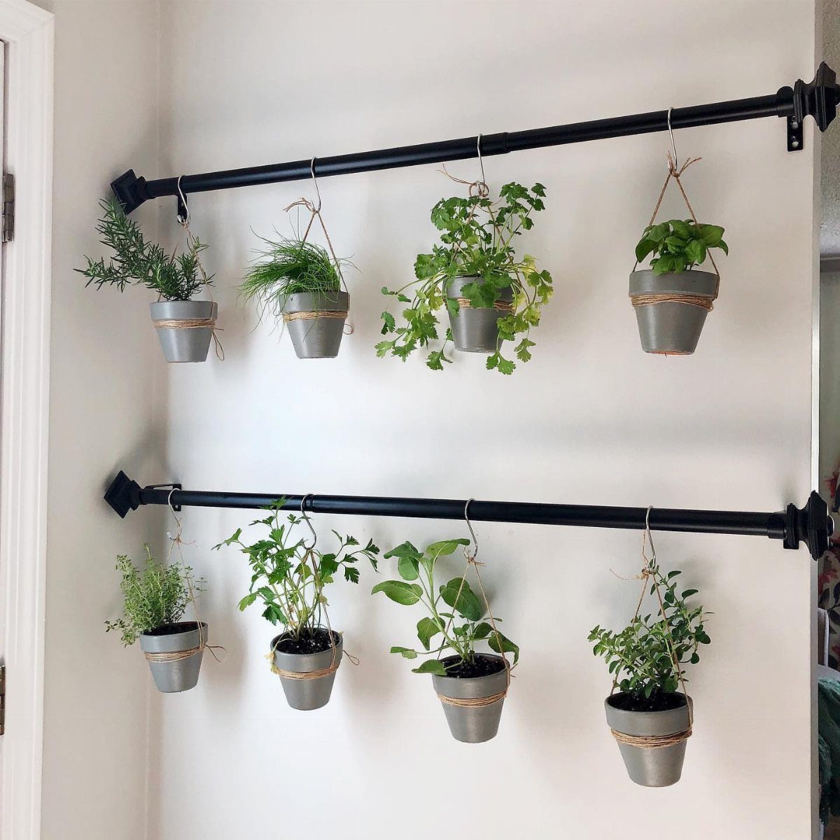 8 Small Kitchen Herb Garden Ideas for Counters, Windows & Walls 1 Small herb pots hanging from two black curtain rods on a white wall.
