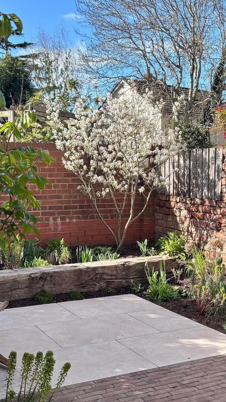 12 Tiny Garden Ideas for Patios, Balconies and Small Yards 11 A white flowering dwarf tree planted in a garden bed against a brick wall.