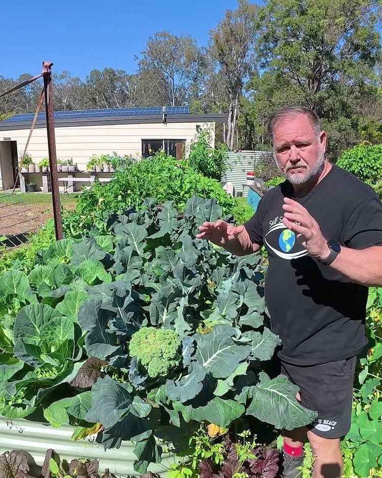 Zone 7 Gardening: 4 Ideas for Your Best Bed Yet 2 A man gestures toward a large, mature broccoli plant growing in a lush garden bed.